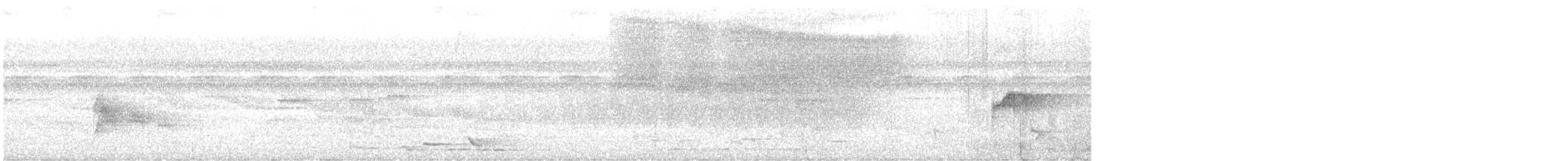 ハシグロハエトリ - ML637563531