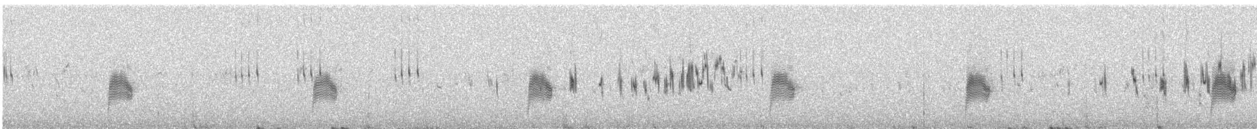 アメリカヨタカ - ML637563873