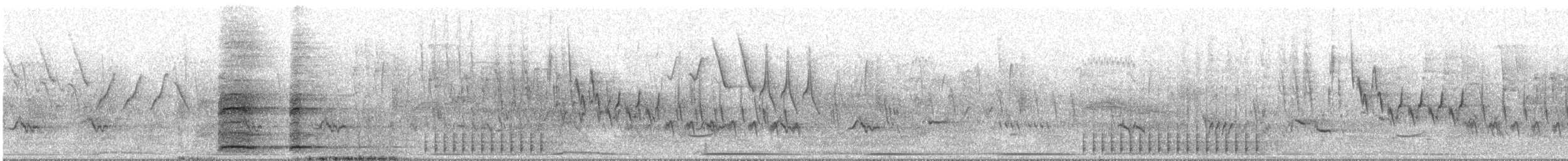 コウライキジ - ML637564005