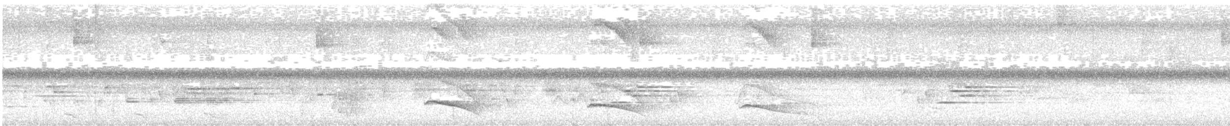 Spotted Woodcreeper - ML637564133