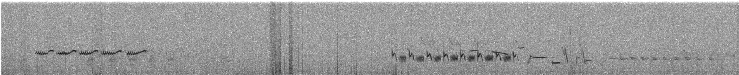 イワミソサザイ - ML637564571