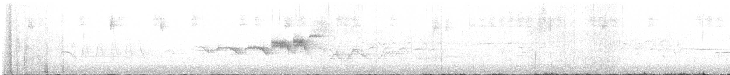 Gray-cheeked Thrush - ML637564607