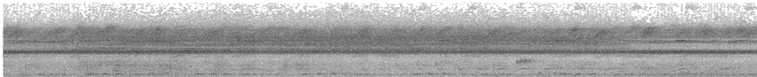 Rufous Motmot - ML637564627