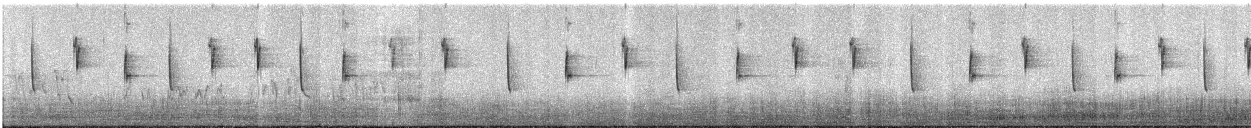 White-vented Violetear - ML637564742