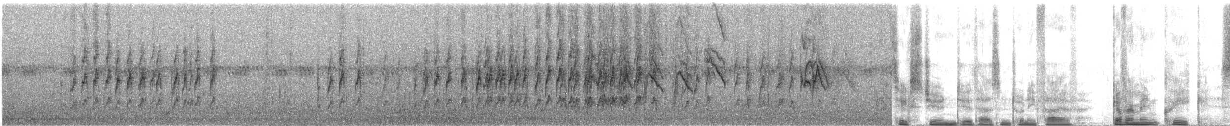 Fichtenzeisig - ML637564899
