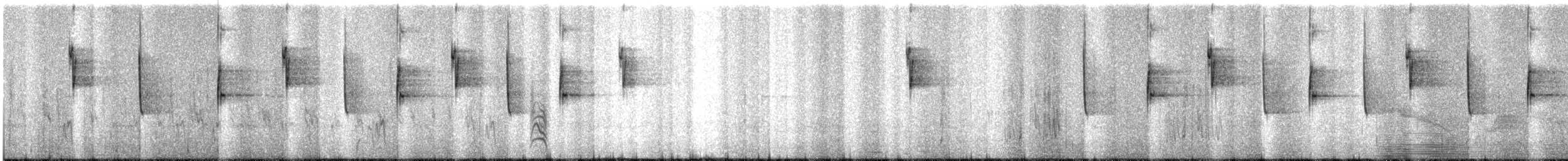 White-vented Violetear - ML637566011