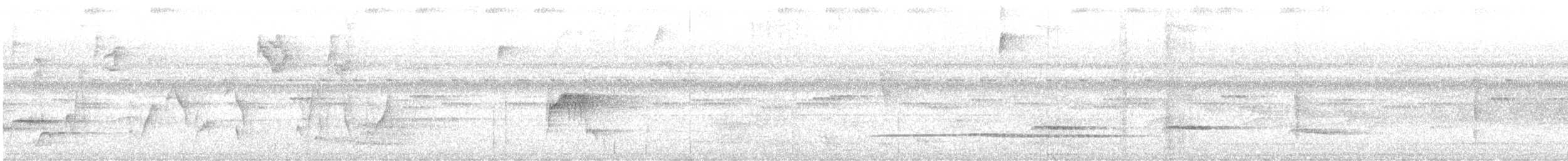 ハシグロハエトリ - ML637566364