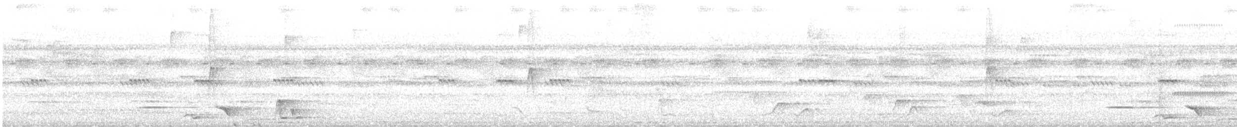 Black-bellied Wren - ML637567891