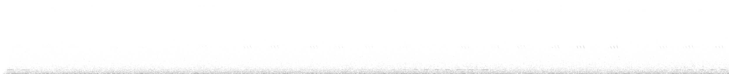 Whiskered Screech-Owl - ML637569448