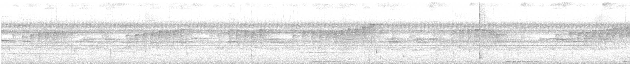 Rufous Motmot - ML637569490