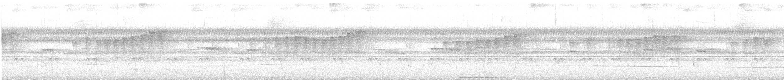 Northern Plain-Xenops - ML637569641