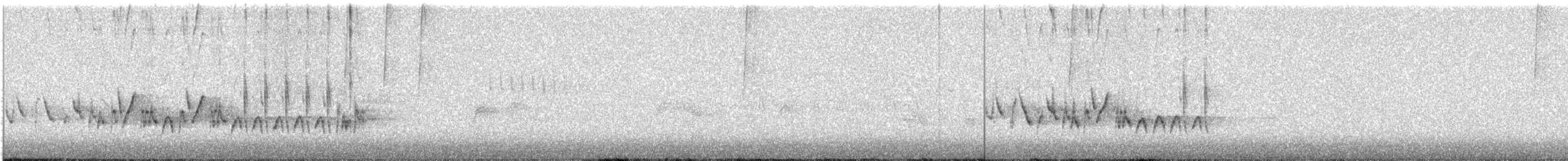 Cassin's Finch - ML637570058