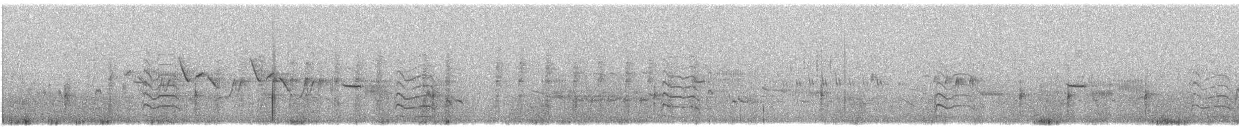Antxeta mokogorri amerikarra - ML637571296