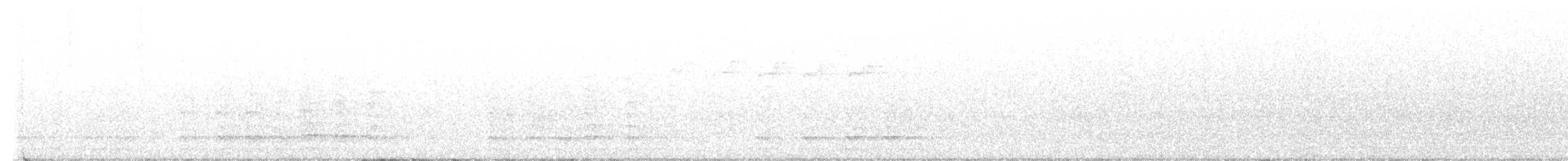 hvitbrynsvartspett - ML637573341
