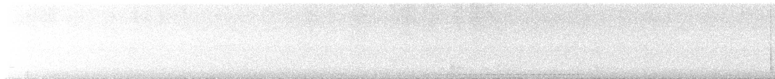 Eastern Screech-Owl - ML637574169