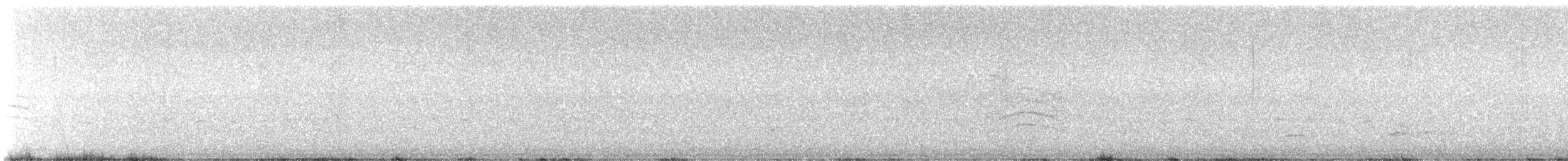 Northern Bobwhite - ML637574462