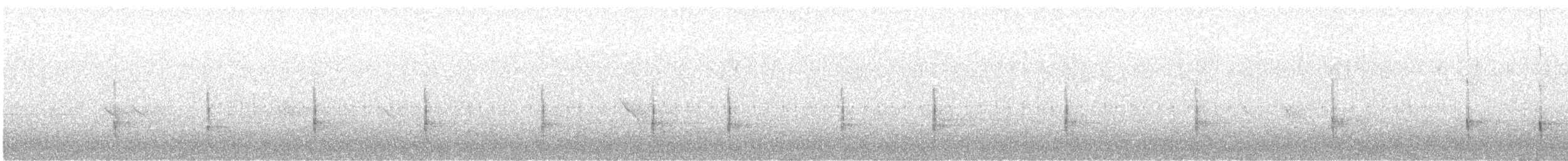 Black-backed Woodpecker - ML637576802