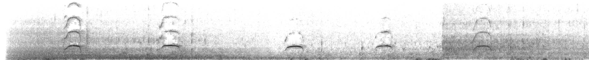 ústřičník západní - ML637577848