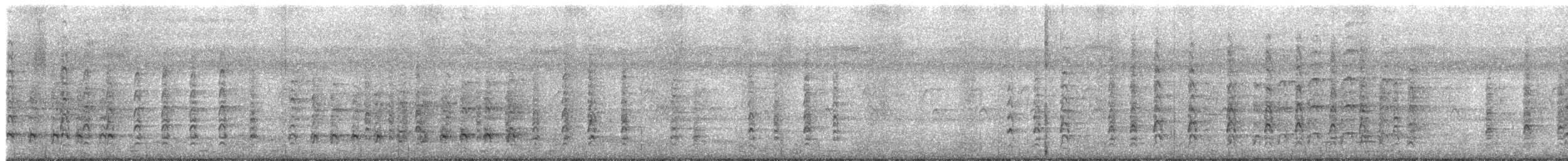 Oriental Pied-Hornbill - ML637579505