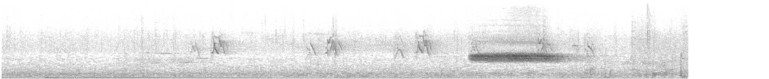 Fichtenzeisig - ML637580430
