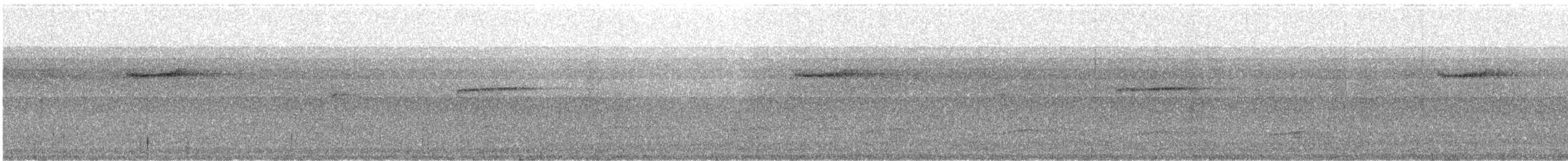 White-crowned Forktail (Javan) - ML637580496