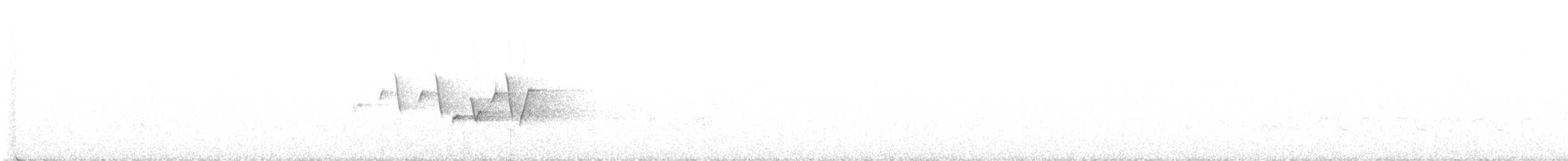 Connecticut Warbler - ML637583050