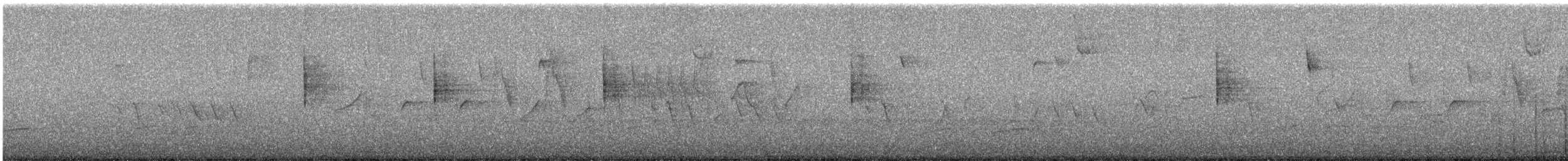 Paruline hochequeue - ML637584261