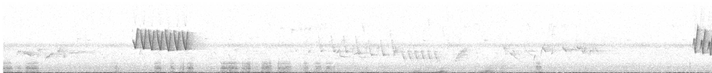 Luì bianco - ML637588124