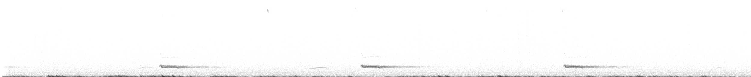 Petit-duc scops - ML637588763