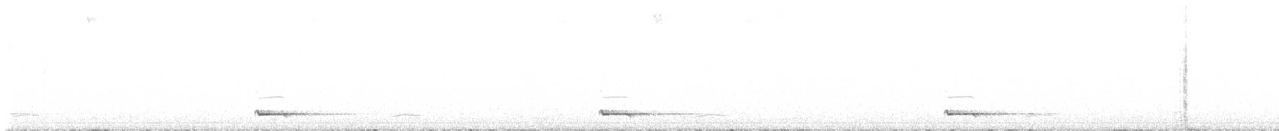 Petit-duc scops - ML637588764