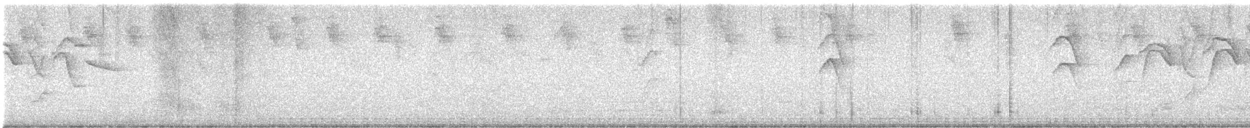 Blue-gray Tanager - ML637589344