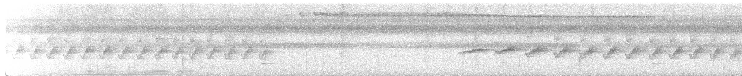 Graubauch-Ameisenschlüpfer - ML637589453