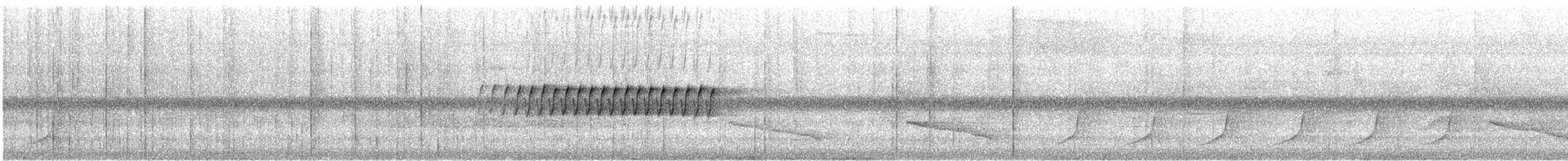 Kiefernwaldsänger - ML637590628