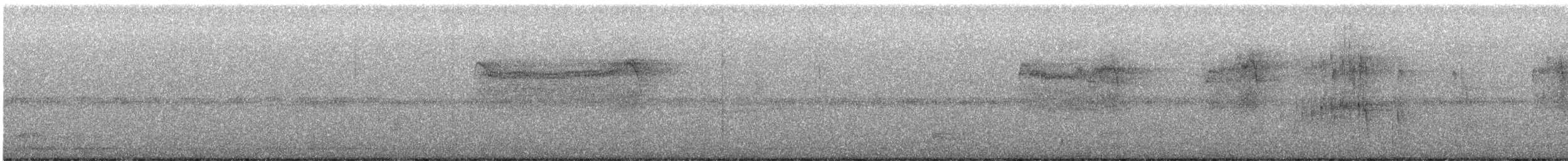 Barred Owl - ML637590927