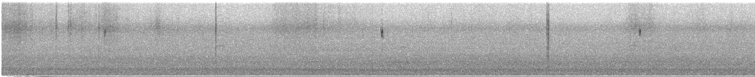 Peruvian Pipit - ML637591173