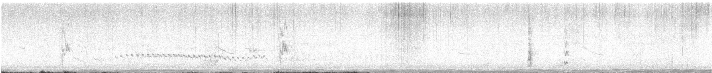 White-browed Sparrow-Weaver - ML637591461