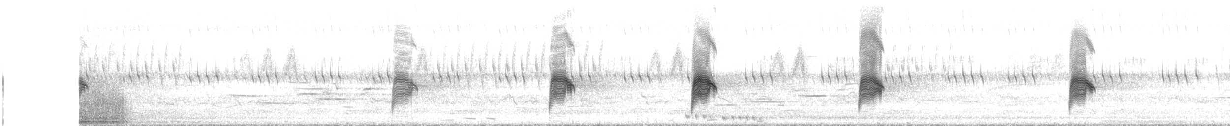 Common Nighthawk - ML637592076