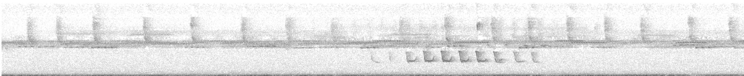 White-winged Becard - ML637593956
