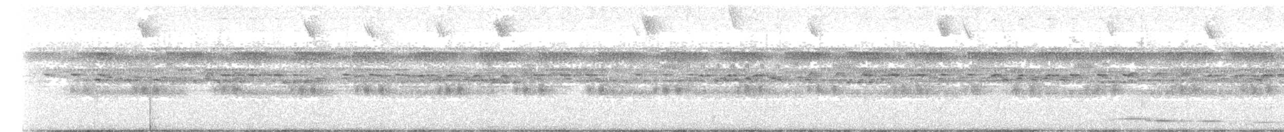 Common Potoo - ML637594108