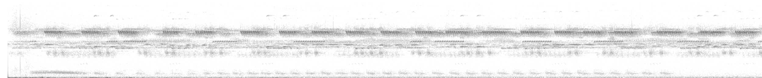 Common Pauraque - ML637594122