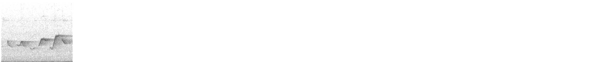 Hooded Warbler - ML637594825