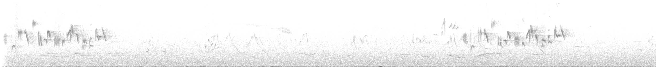 Black-throated Accentor - ML637595671