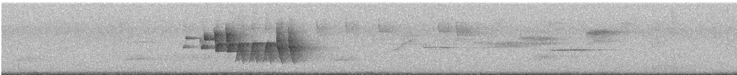 Northern Waterthrush - ML637597626