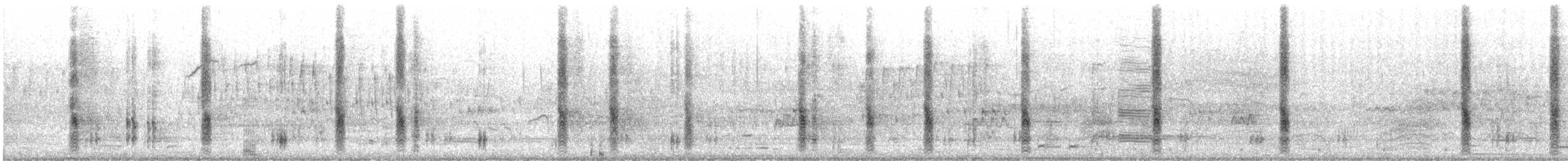 Common Grackle - ML637602327