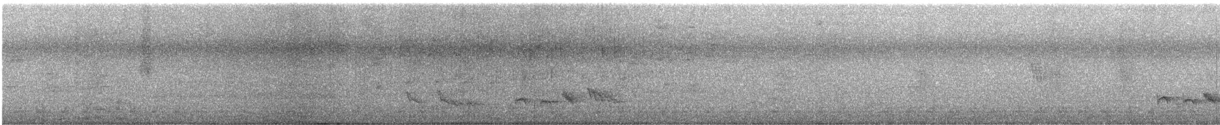 Tropical Mockingbird - ML637604611