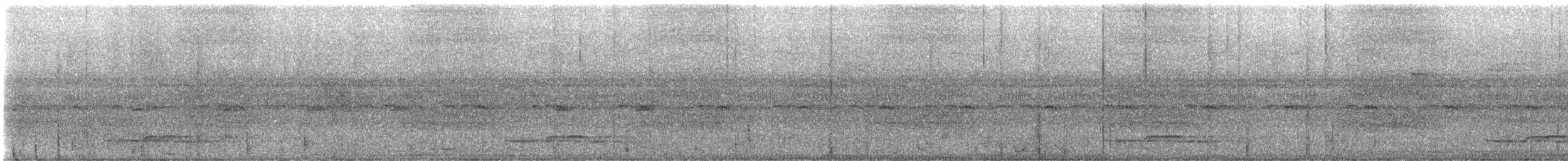 Long-tailed Manakin - ML637606741