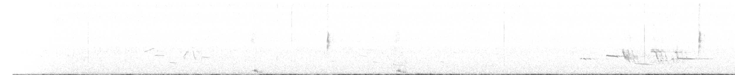 Common Raven - ML637607021