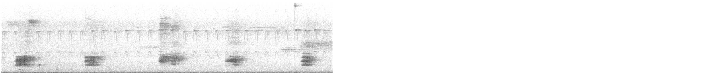 Stockente - ML637607255