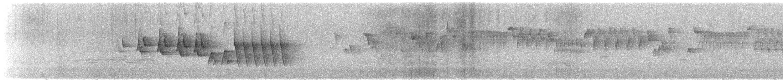 Pacific Wren - ML637607661