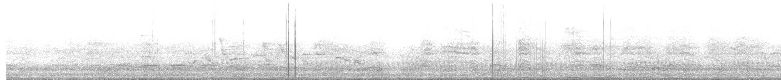 Black-headed Gull - ML637608214